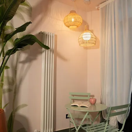 Experience - Palms